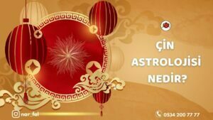 Çin Astrolojisi | Blog - Nar Fal