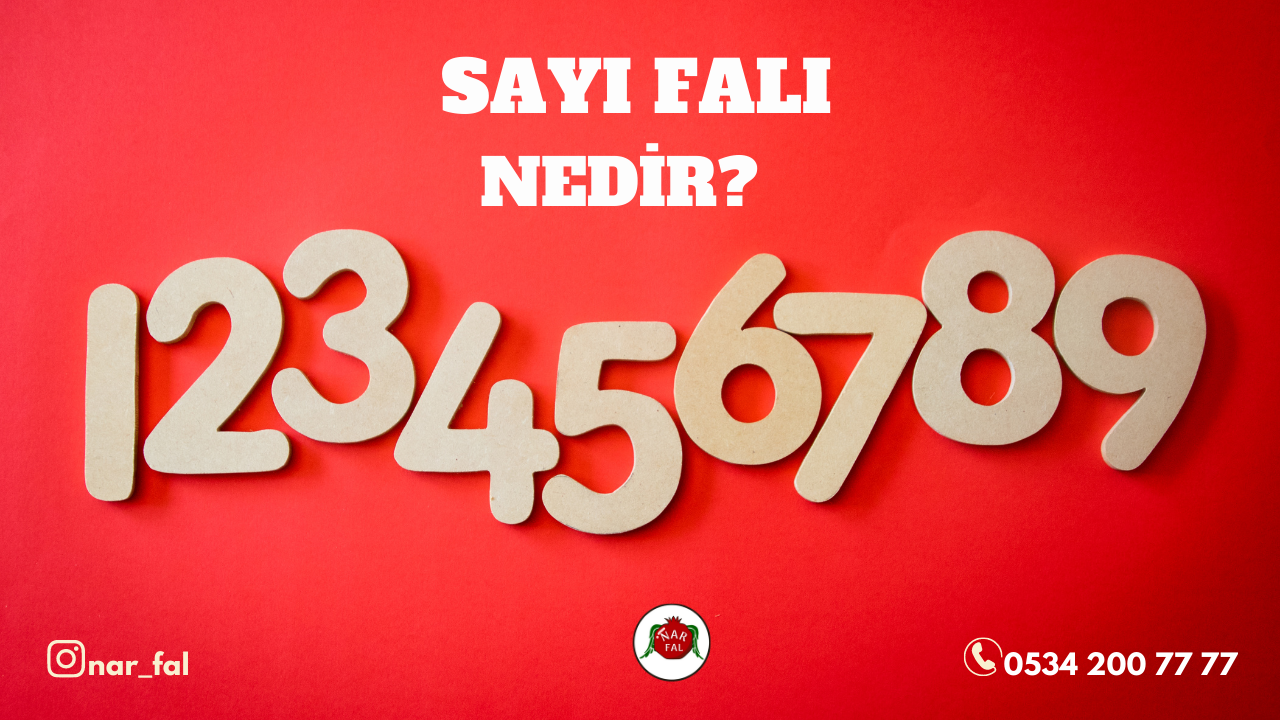 Sayı Falı nedir, nasıl bakılır, Şanslı sayı falı ne demek, İskambil sayı falı anlamları, online sayı falı bak, baktır, numeroloji falı, gerçek numeroloji, sayı falı hesaplama